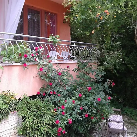 House Sapphire Sables d'or